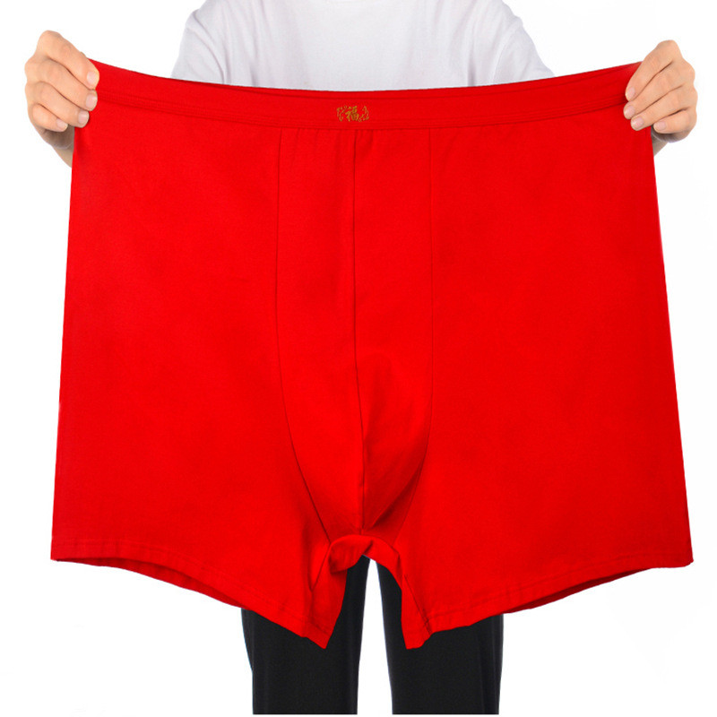 Bielizna z czystej bawełniany  – Boxer Brief Pack Cotton recenzja i cena